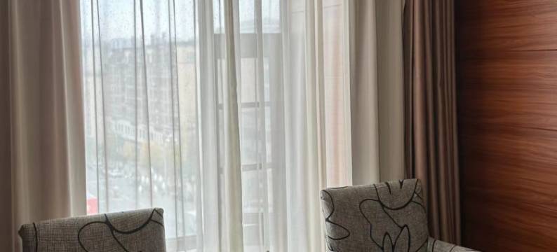 德美大酒店(南充南部店)图片