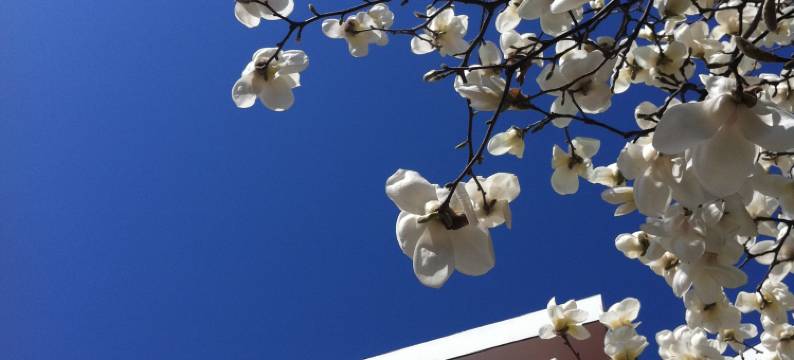 北京世纪金源香山商旅酒店图片