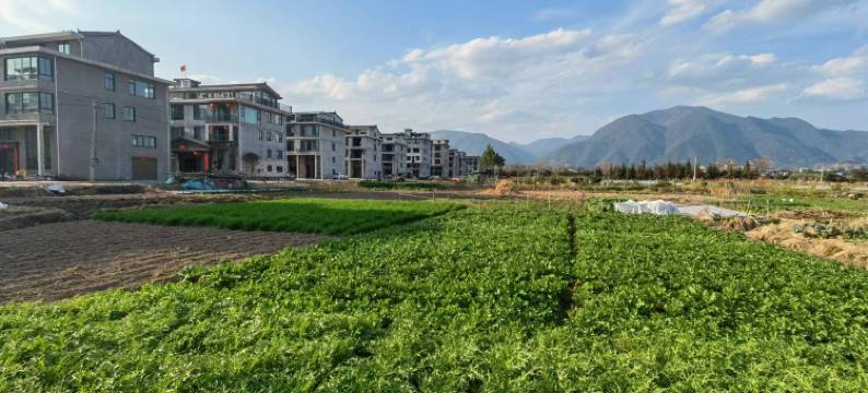 繁华度假民宿图片