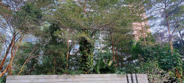 红树湾河畔山河景民宿(华发商都店)图片