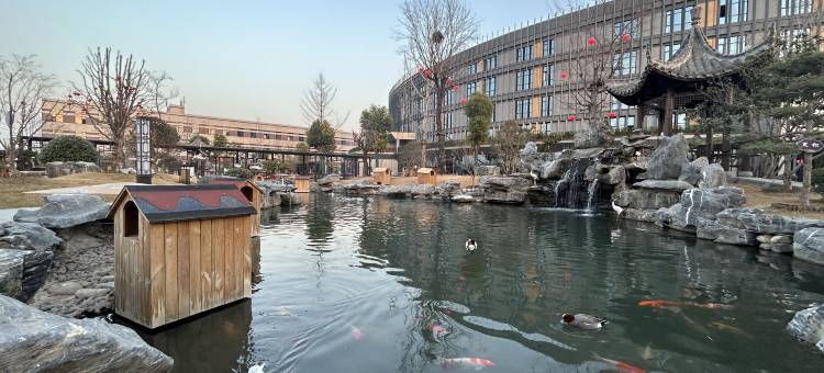 焦作太极健康养生酒店图片