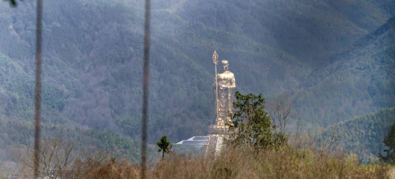 远山近佛·九华山半亩花田民宿图片