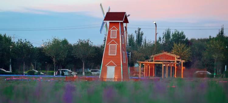 麗枫酒店(奎屯中心公园店)图片