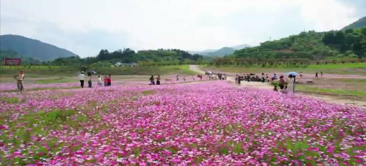 古田利洋老支书驿站图片