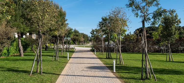 Hotel Torre Assunta图片