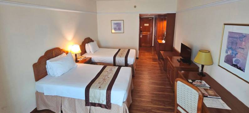 拉玛纳西贡酒店(Ramana Saigon Hotel)图片