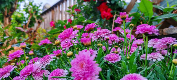 大理漾濞时光民宿图片