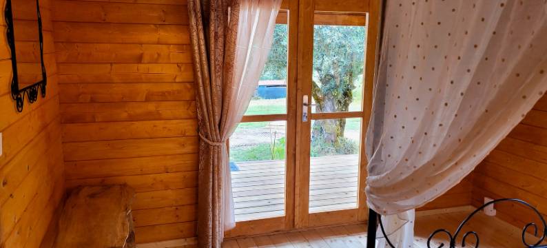 在Rio的会议(Encontro no Rio)图片