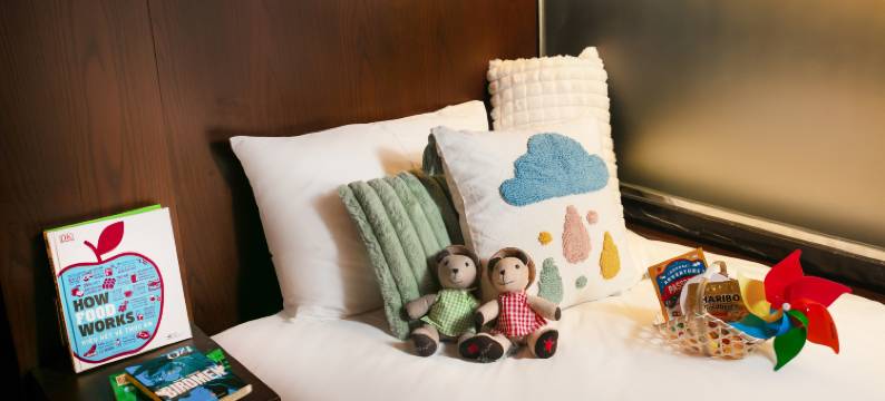极光中心酒店(Aurora Central Hotel)图片