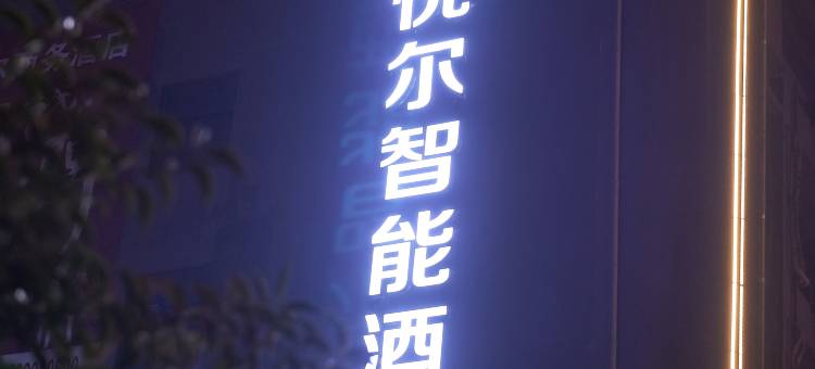 桐橙悦尔酒店图片