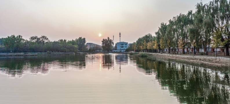 皇家荷苑客栈图片