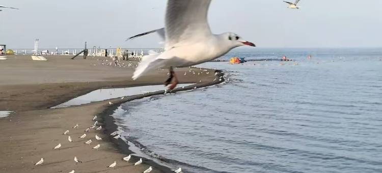 博湖县四季酒店(西海步行街店)图片