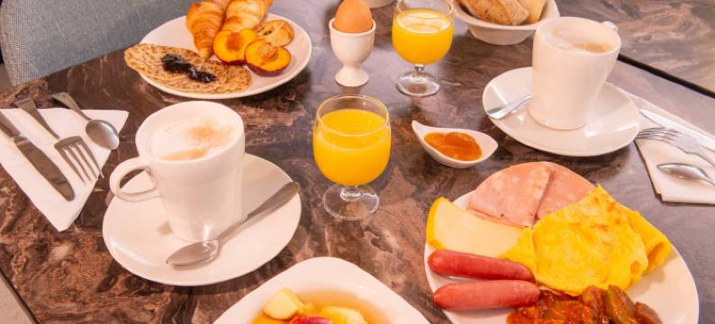 法国阿尔比恩酒店(Hotel France Albion)图片