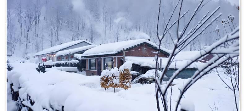 雪谷·瑞雪Snow·冬月绘漫旅行美宿(雪谷风景区店)图片