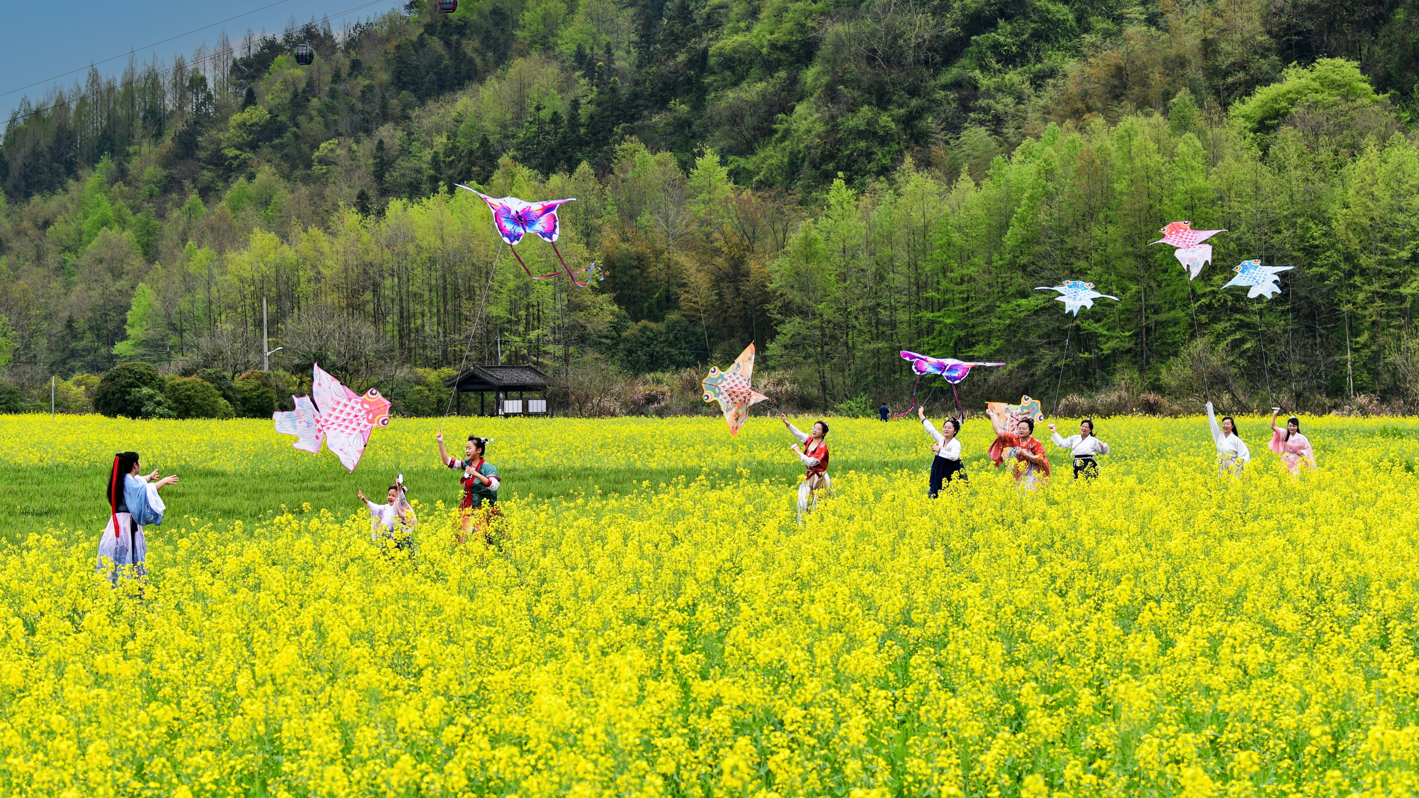 Ziyoujia · Tree house World Over view