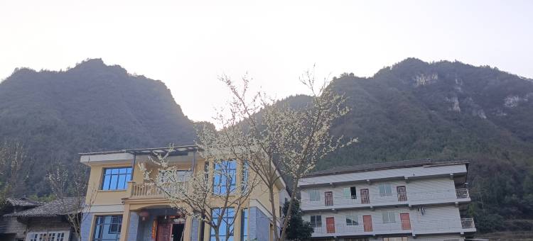 绥阳县未见山避暑山庄图片
