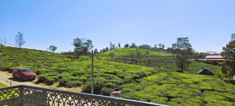 茶园私人别墅(Private Villa by the Tea Estate)图片