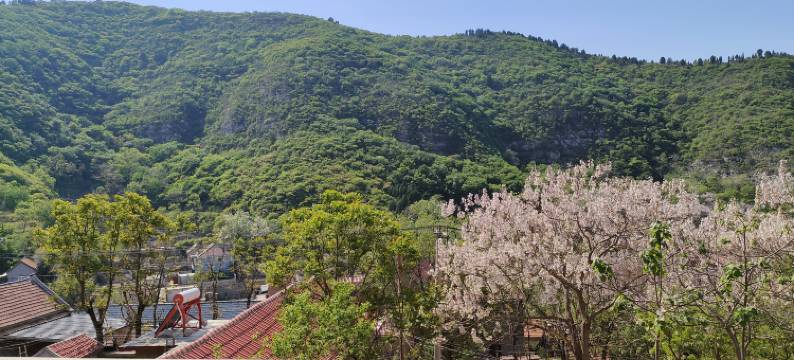 淄博诗意栖居民宿(洪山镇土峪村店)图片
