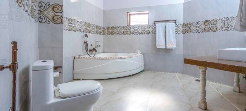 香德拉瓦提宫殿酒店(Hotel Chandrawati Palace)图片