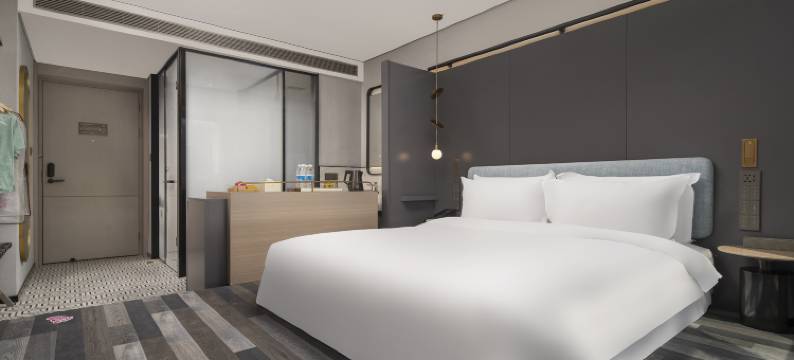 成都丽致酒店(春熙路天府广场店)图片