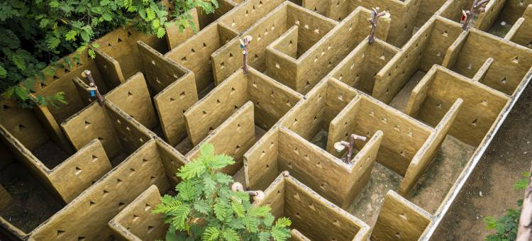 斯瓦德里达尼度假村(Swad Ri Dhani, Ajmer)图片