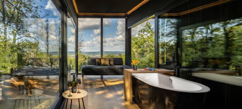 ForRest luxury relax in the forest, view of Danube图片