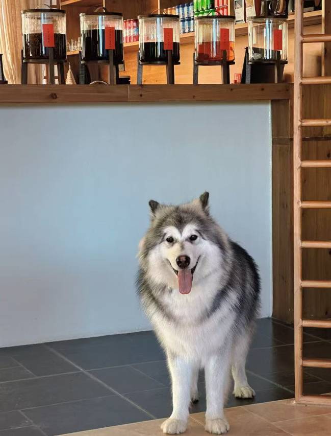 归山牧云民宿(四姑娘山店)图片