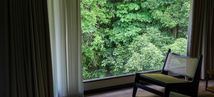 景德镇景行民宿(三宝国际陶艺村)图片