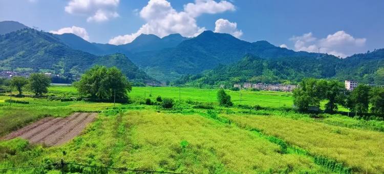 醇香民宿(望仙谷景区店)图片
