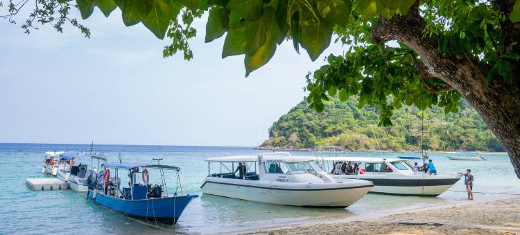 The One Tenggol Island Resort(The One Tenggol Island Resort)图片