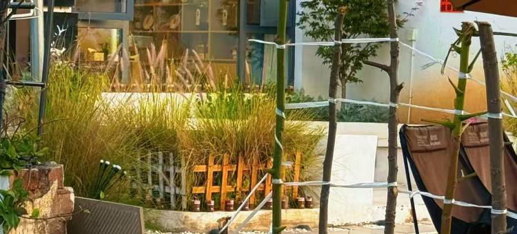 云鹿·静泊海景度假民宿(大理洱海店)图片