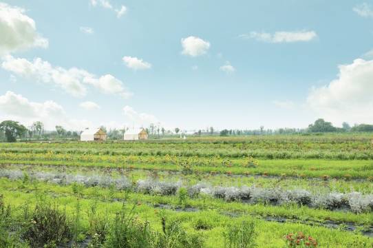 西塘良壤酒店图片