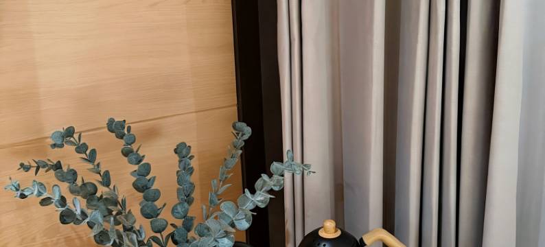 薄荷度假村(中文管家服务+免费酒店往返镇上/码头班车)(PUDINA RESORT)图片