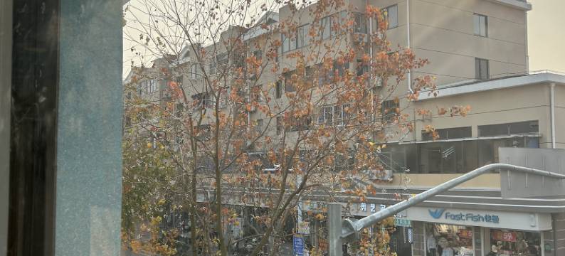 上海金海湾宾馆图片