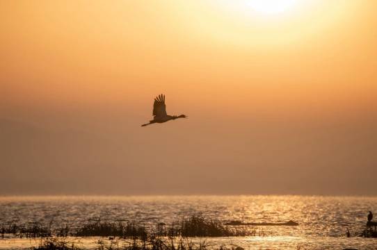 亚汀酒店(威宁彝族回族苗族自治县草海北坡生态公园滨海大道店)图片