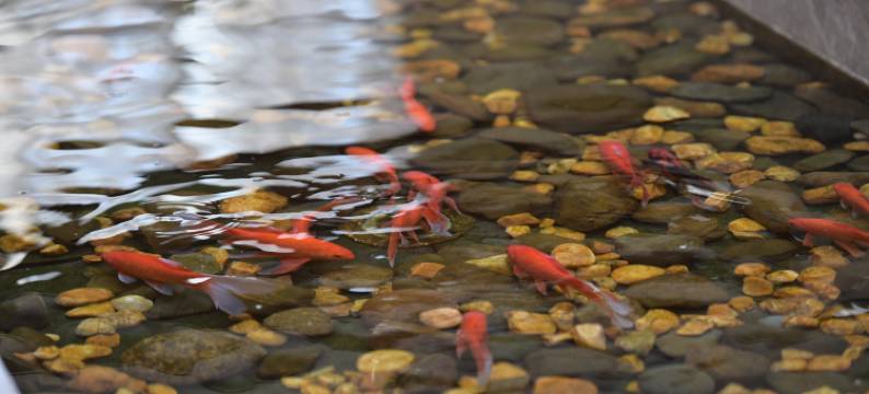 上高镜花湾酒店图片