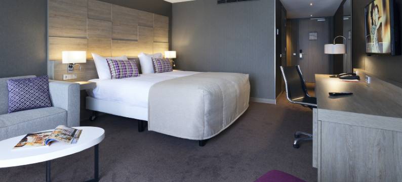 哈勒姆范得瓦克酒店(Van der Valk Hotel Haarlem)图片