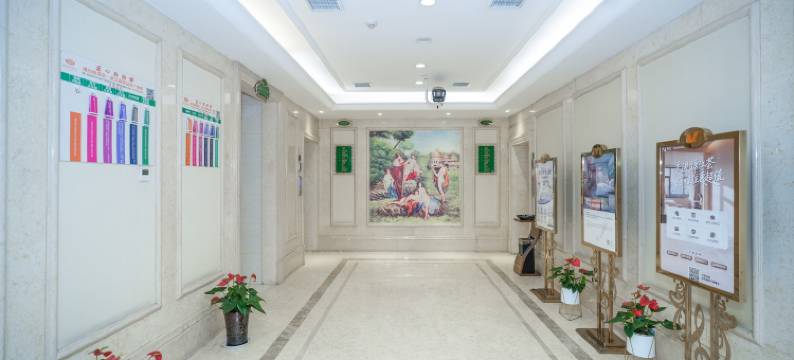 维也纳酒店(武汉高铁站东广场店)图片