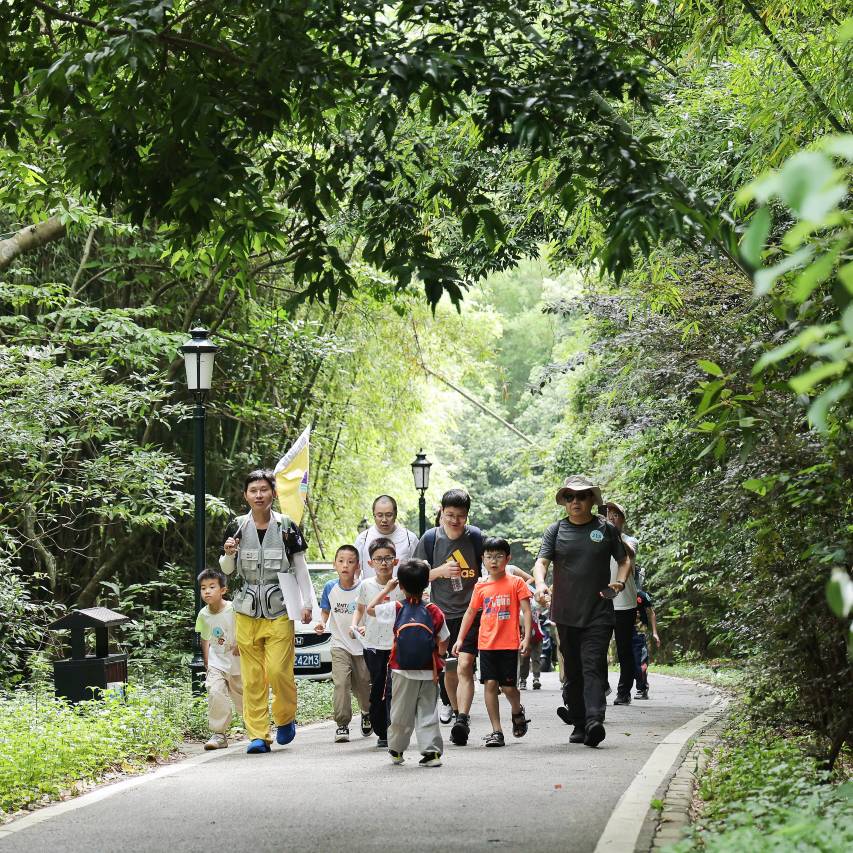 广东温泉宾馆图片