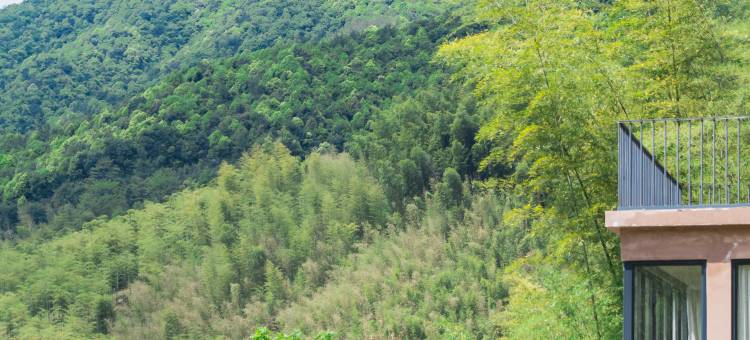 莫干山自然而然In Nature｜山景度假民宿图片