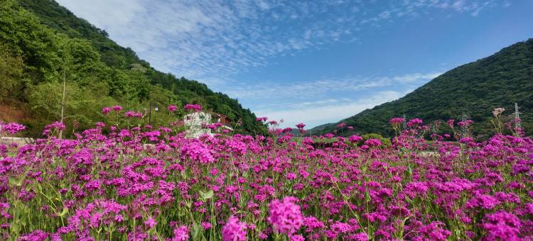 纸鸢乡村艺术民宿图片