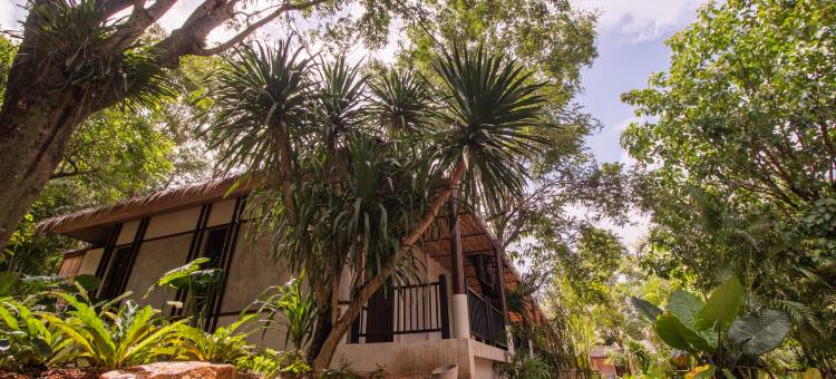 帕波克生态度假村(Phapok Eco Resort)图片
