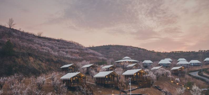 隐居乡里·十堰早春三花民宿(杏花村店)图片