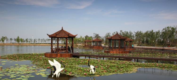 速8酒店(康平卧龙湖店)图片