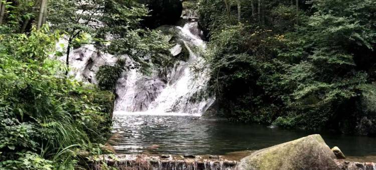 花筑·湖洋梯田民宿图片
