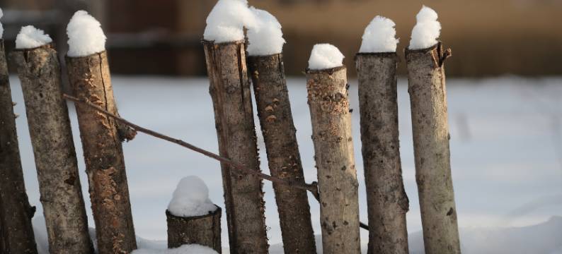 长白山双溪森林营地图片