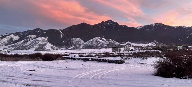 小河公主·南山花里别院民宿图片