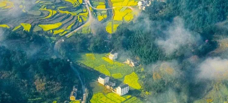 婺源积微山舍(思溪延村景区店)图片