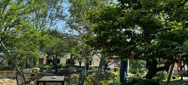 宣城溪客梦花园民宿图片