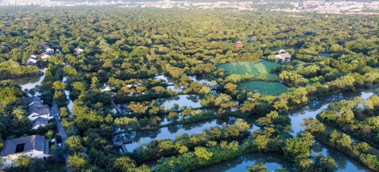 杭州西溪悦椿度假酒店图片